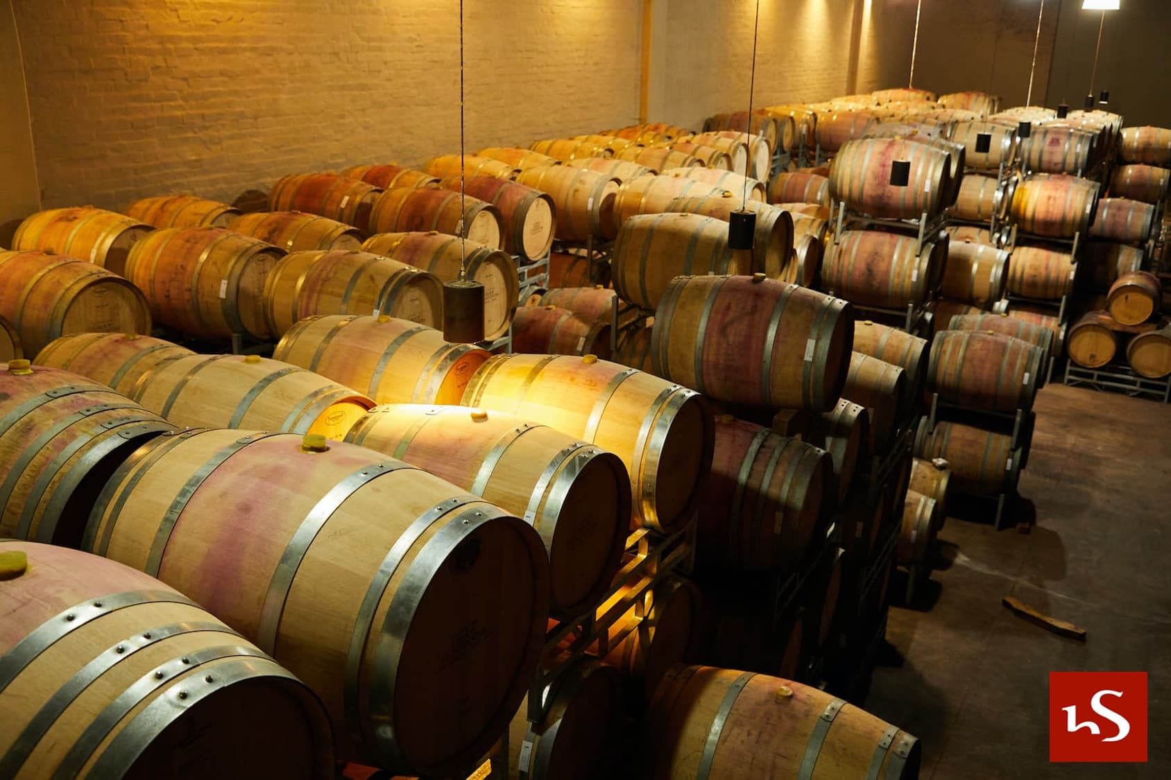 Lee más sobre el artículo Bodegas en Zamora: Donde el Vino Cuenta su Historia